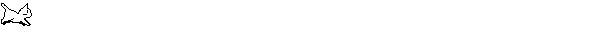 minino.gif (5955 bytes)